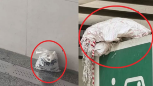 ‘বোমা সদৃশ’ বস্তু: রাজধানীর দুই মেট্রো স্টেশনে যা পেল পুলিশ